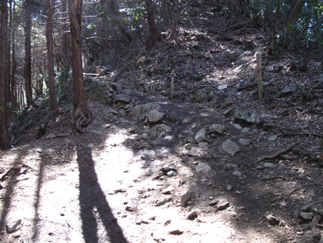 20160226hike (41)